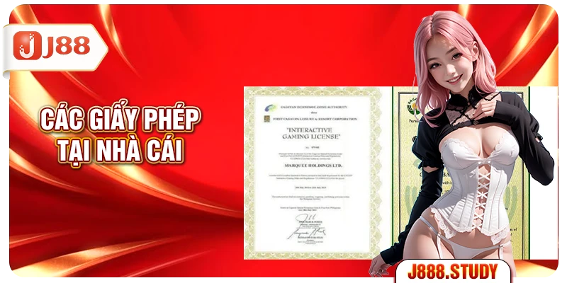 cac-giay-phep-tai-nha-cai