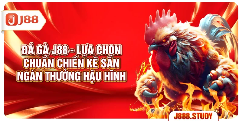 da-ga-j88-lua-chon-chuan-chien-ke-san-ngan-thuong-hau-hinh