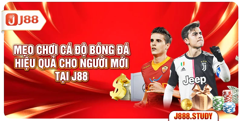meo-choi-ca-do-bong-da-hieu-qua-cho-nguoi-moi-tai-j88
