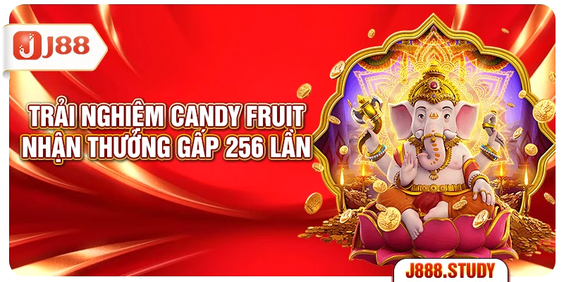 trai-nghiem-candy-fruit-nhan-thuong-gap-256-lan